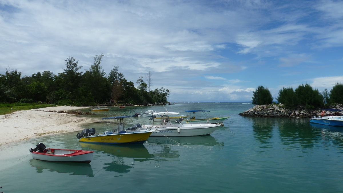 照片 塞舌尔(Seychelles) 拉迪格岛(La Digue) 2011-10 174