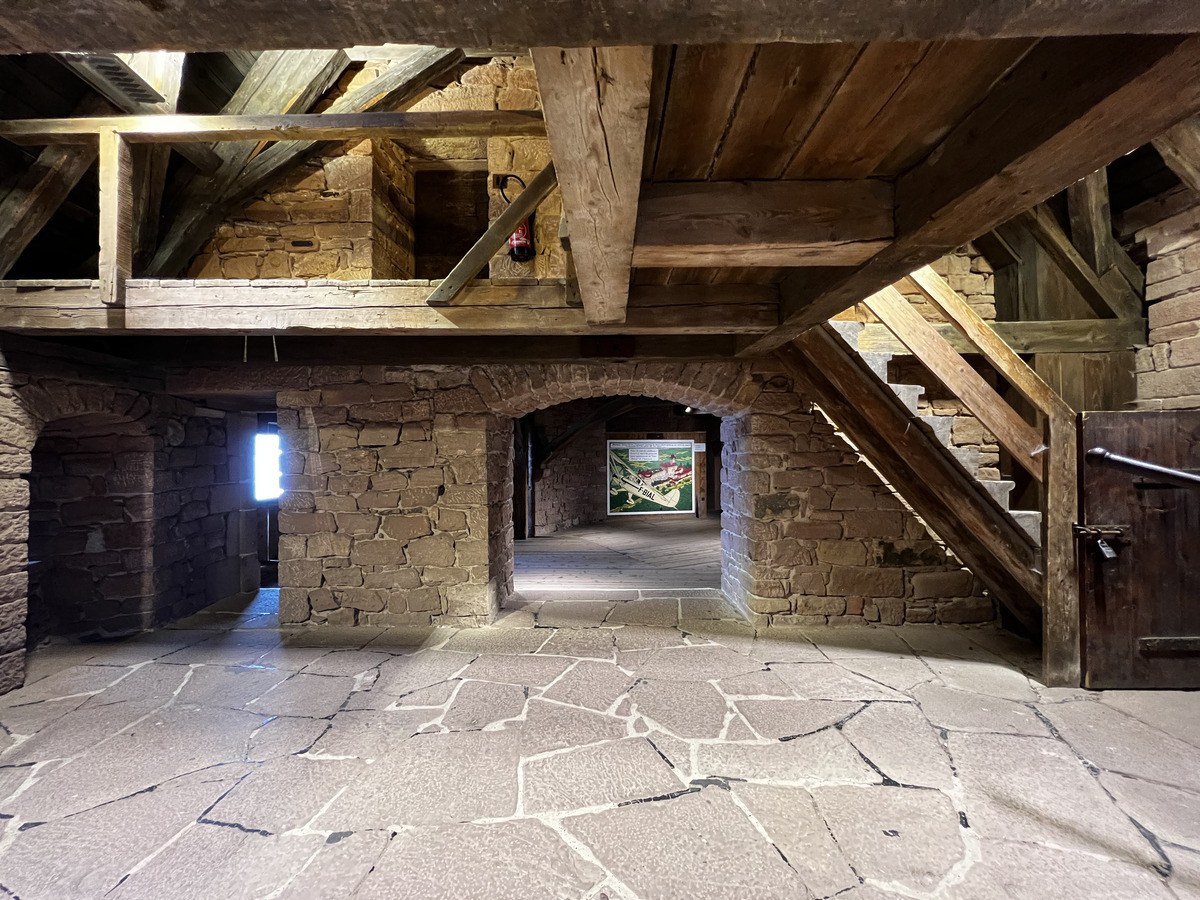 照片 法国(France) 上国王堡(Koenigsbourg Castle) 2023-10 79