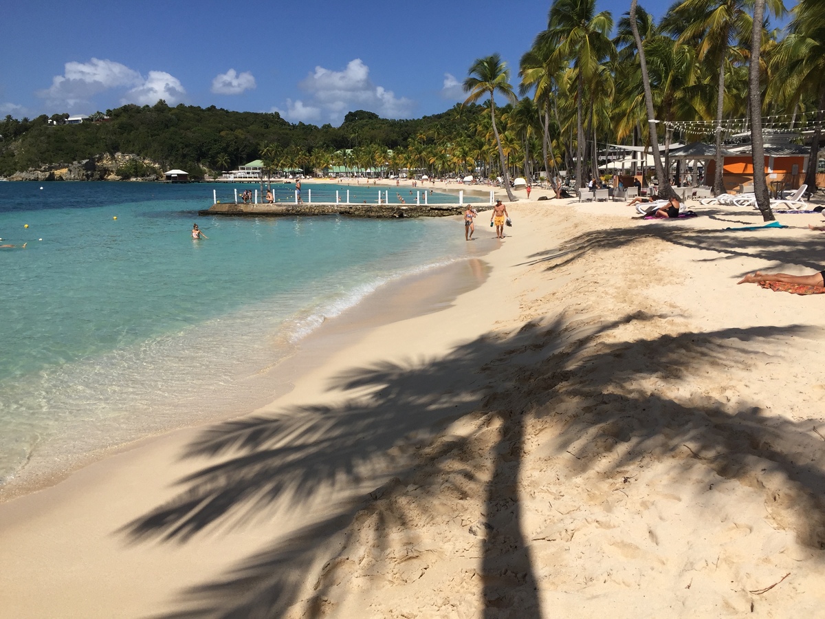 照片 瓜德罗普(Guadeloupe) 卡拉维尔海滩(La Caravelle Beach) 2021-02 77