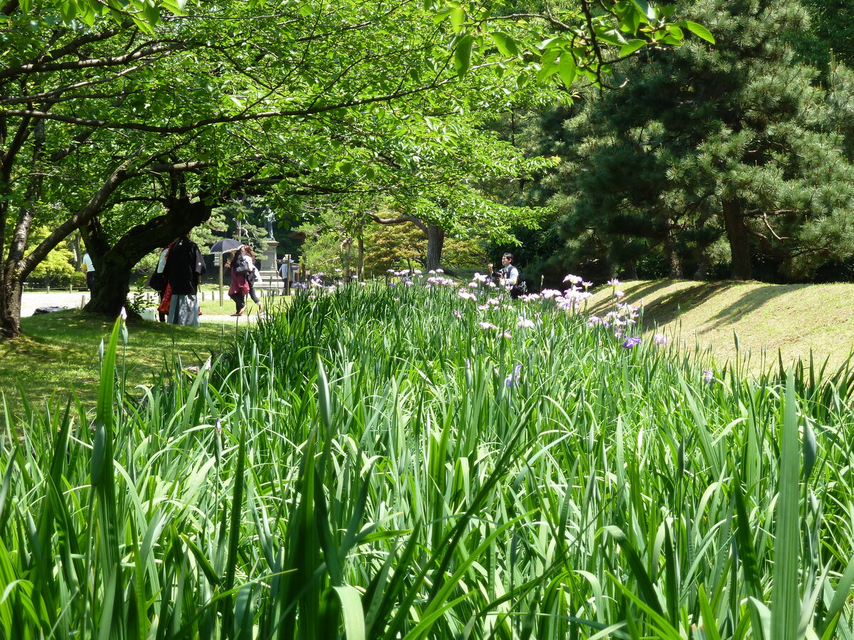 照片 日本(Japan) 东京(Tokyo) 滨离宫恩赐庭园(Hama rikyu Gardens) 2010-06 110