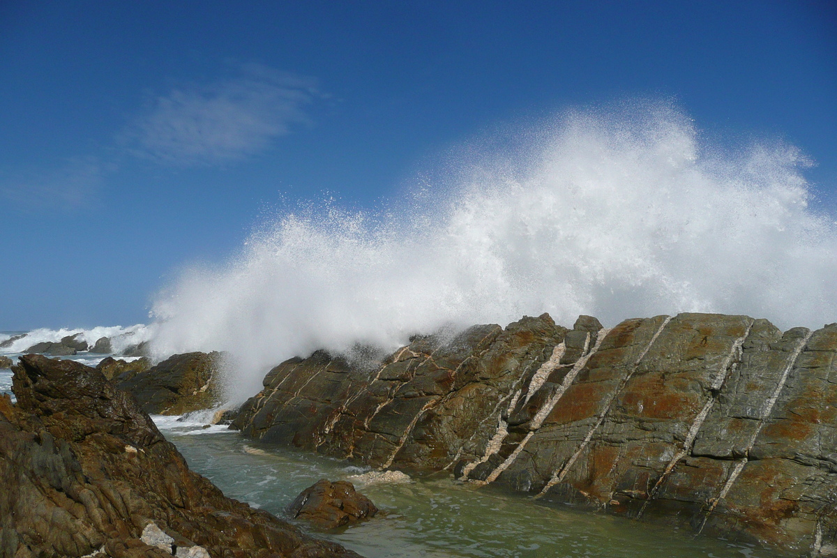 照片 南非(South Africa) 齐齐卡马国家公园(Tsitsikamma National Park) 2008-09 77