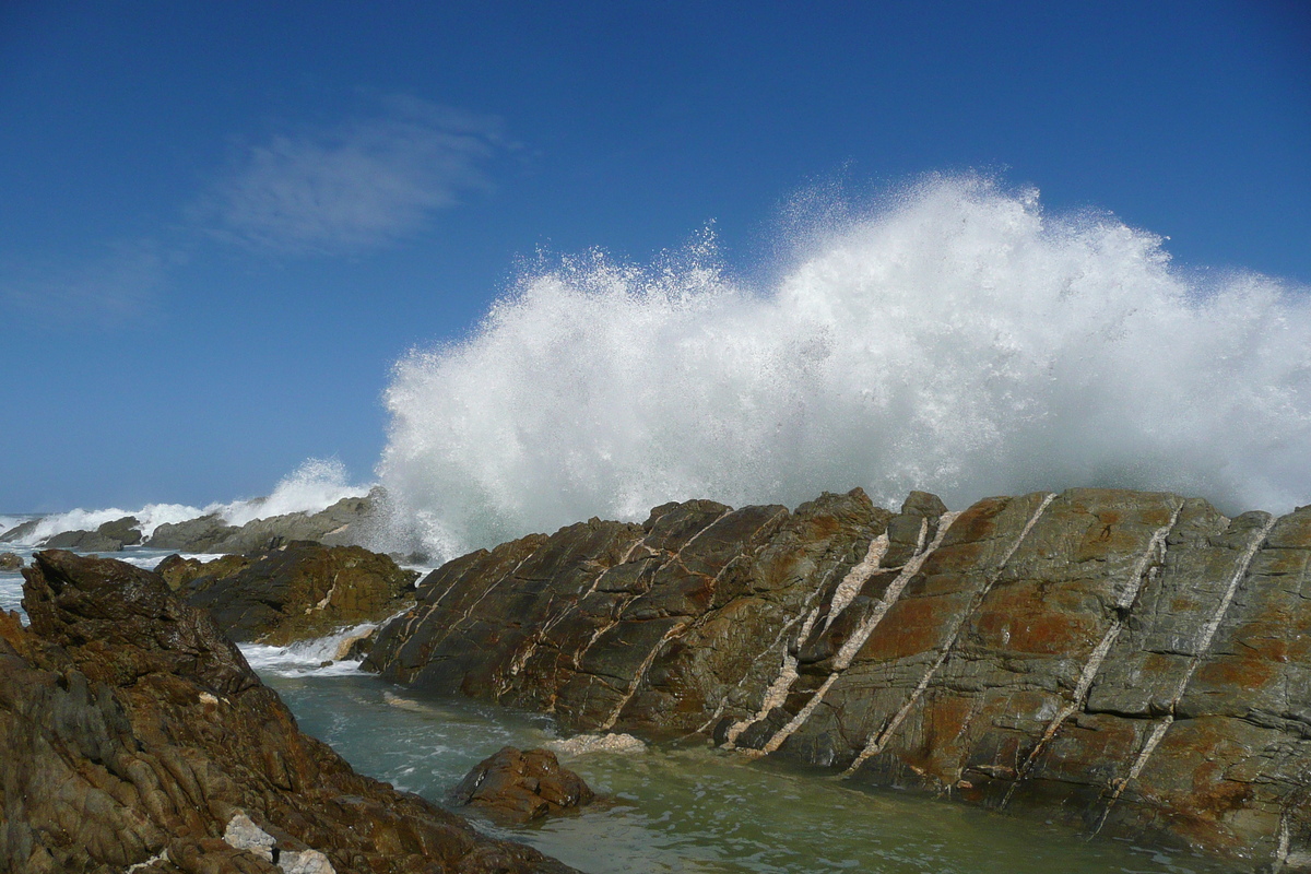 照片 南非(South Africa) 齐齐卡马国家公园(Tsitsikamma National Park) 2008-09 101