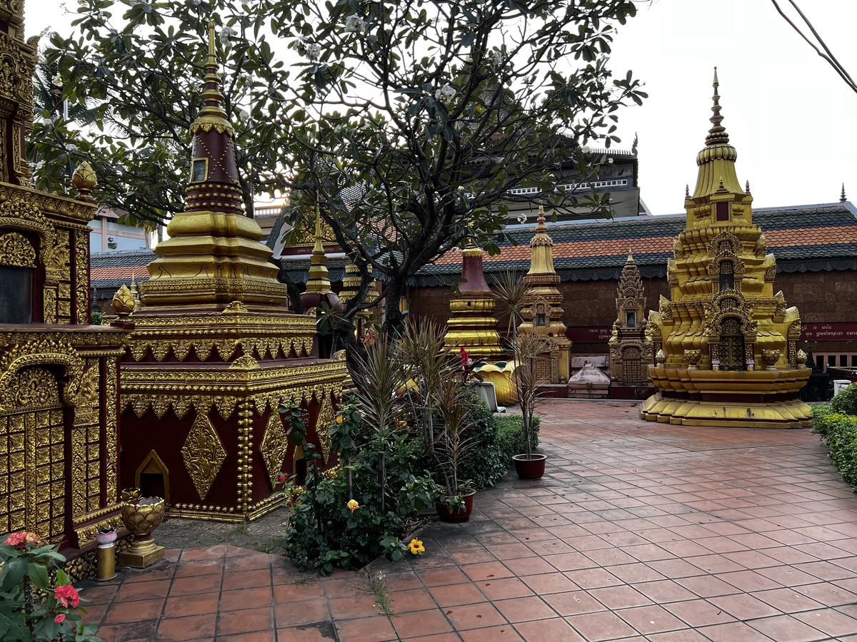 照片 柬埔寨(Cambodia) 暹粒(Siem Reap) 普拉普罗姆拉寺(Wat Preah Prom Rath) 2023-01 5
