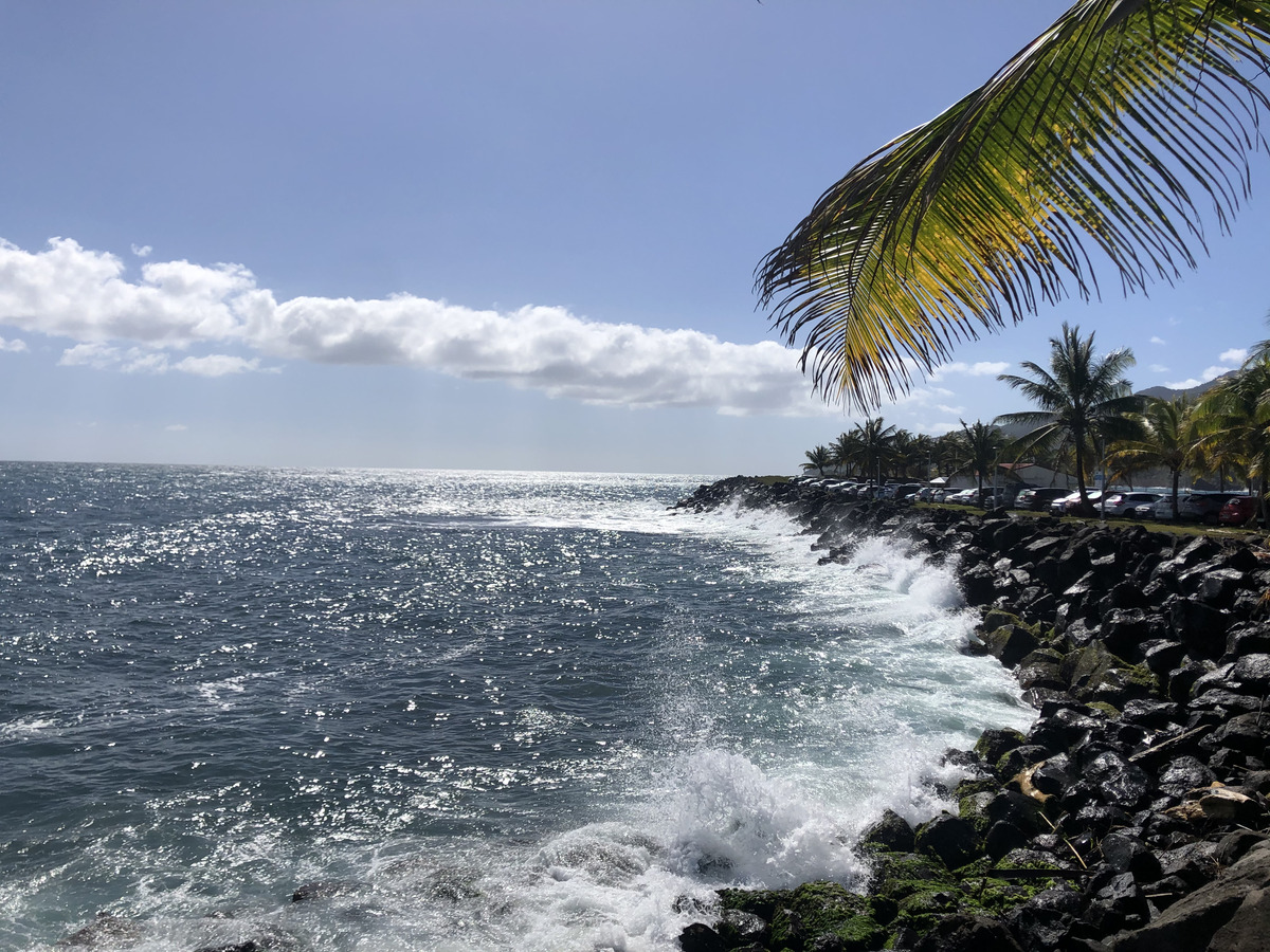 照片 瓜德罗普(Guadeloupe) 三河城(Trois Rivieres) 2021-02 5