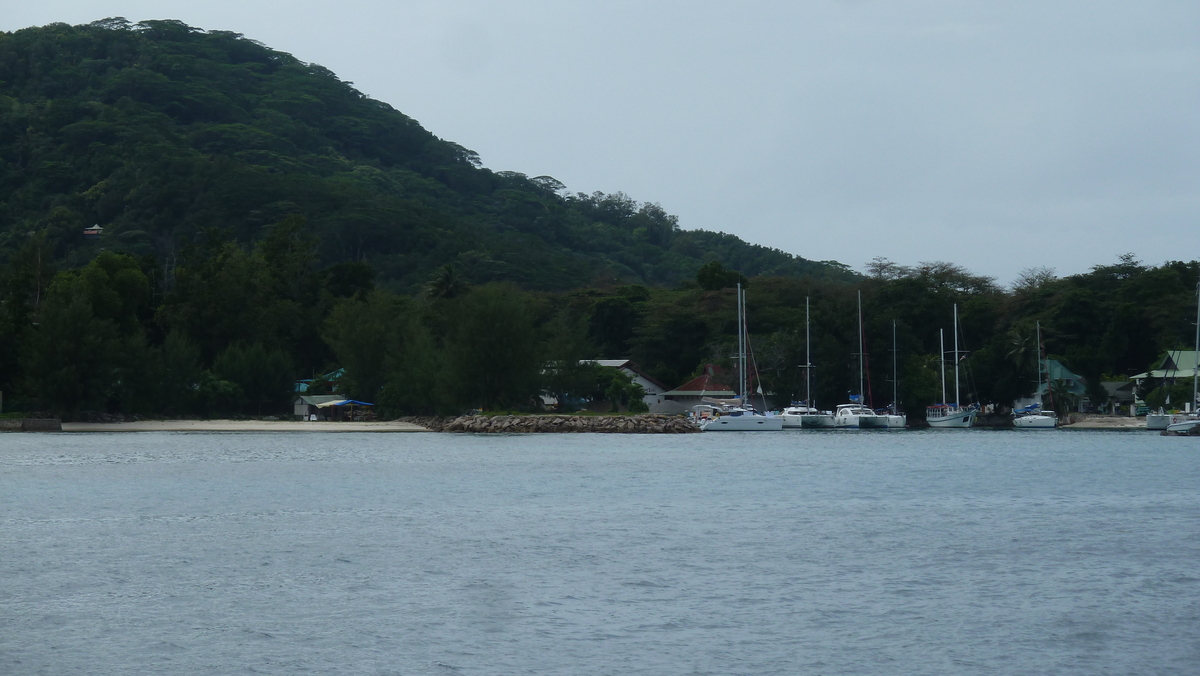 照片 塞舌尔(Seychelles) 拉迪格岛(La Digue) 2011-10 146