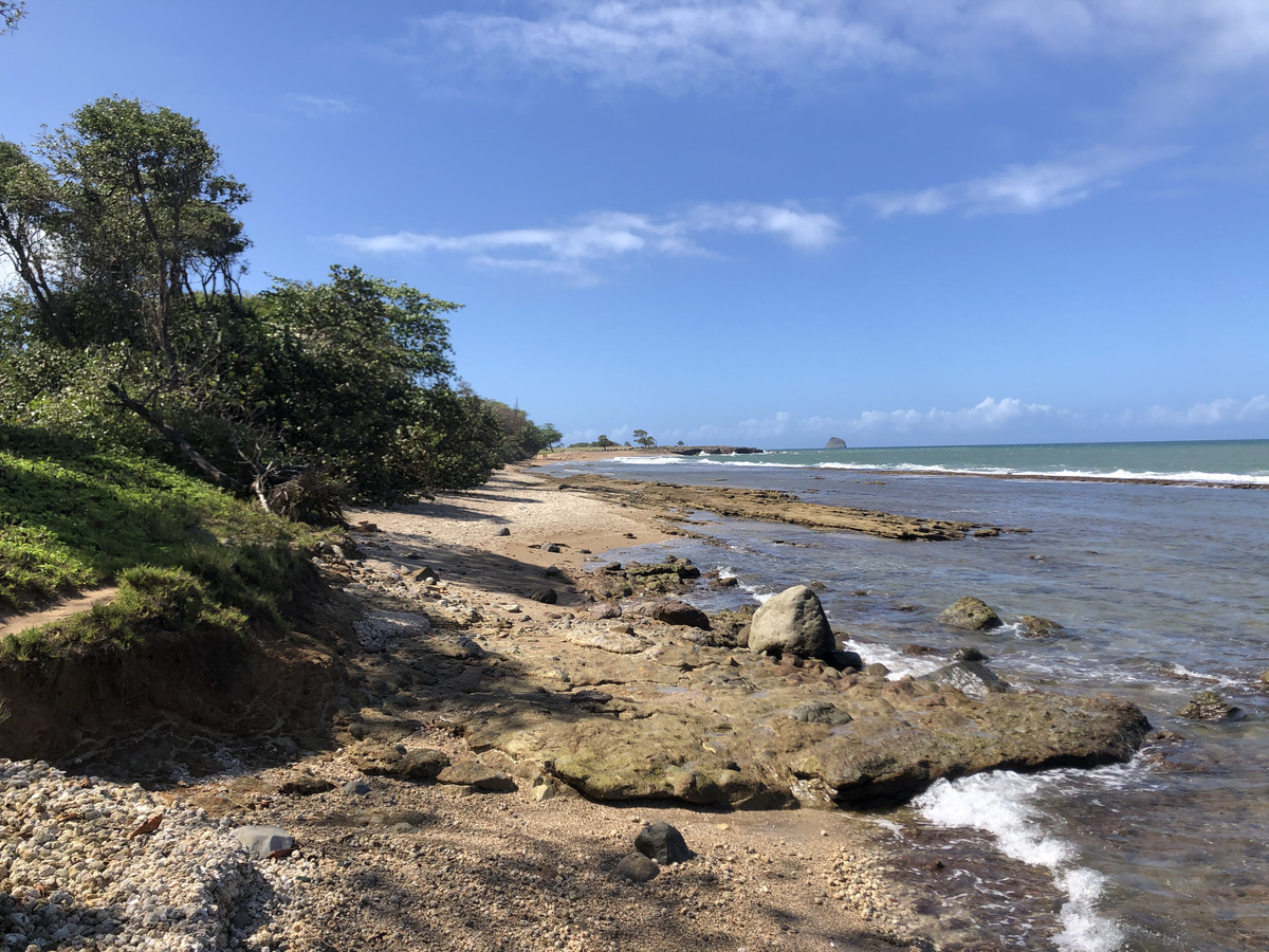 照片 瓜德罗普(Guadeloupe) 克吕尼海滩(Clugny Beach) 2021-02 6