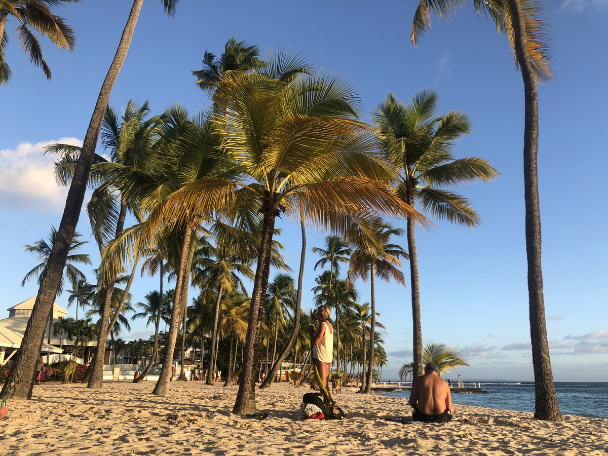 照片 瓜德罗普(Guadeloupe) 卡拉维尔海滩(La Caravelle Beach) 2021-02 148