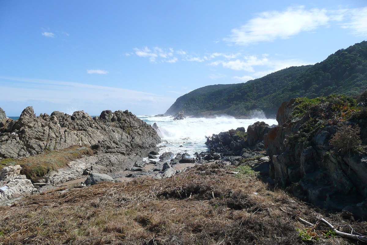 照片 南非(South Africa) 齐齐卡马国家公园(Tsitsikamma National Park) 2008-09 478