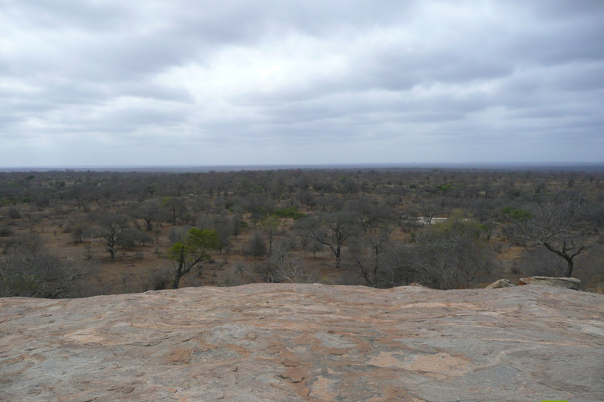 照片 南非(South Africa) 克鲁格国家公园(Kruger National Park) 2008-09 11