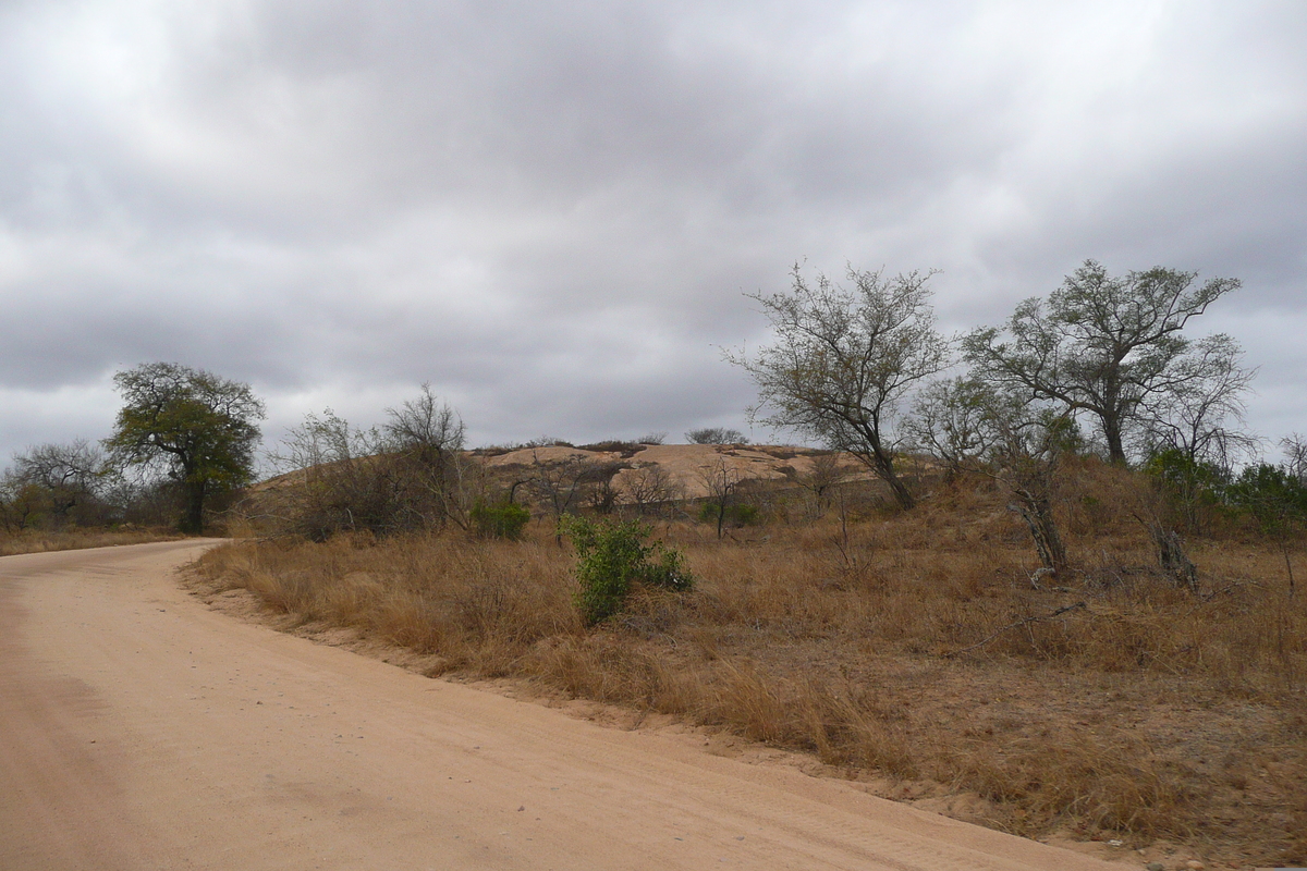 照片 南非(South Africa) 克鲁格国家公园(Kruger National Park) 2008-09 175