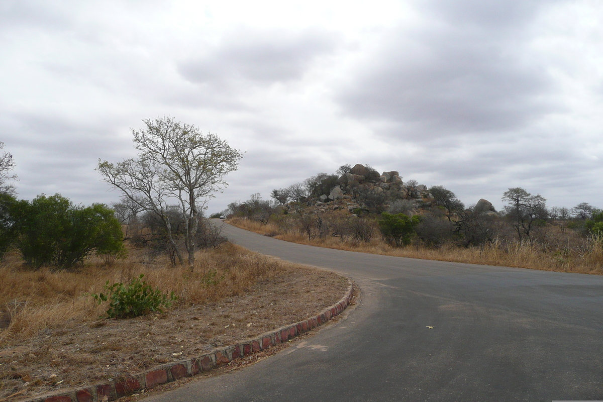 照片 南非(South Africa) 克鲁格国家公园(Kruger National Park) 2008-09 184