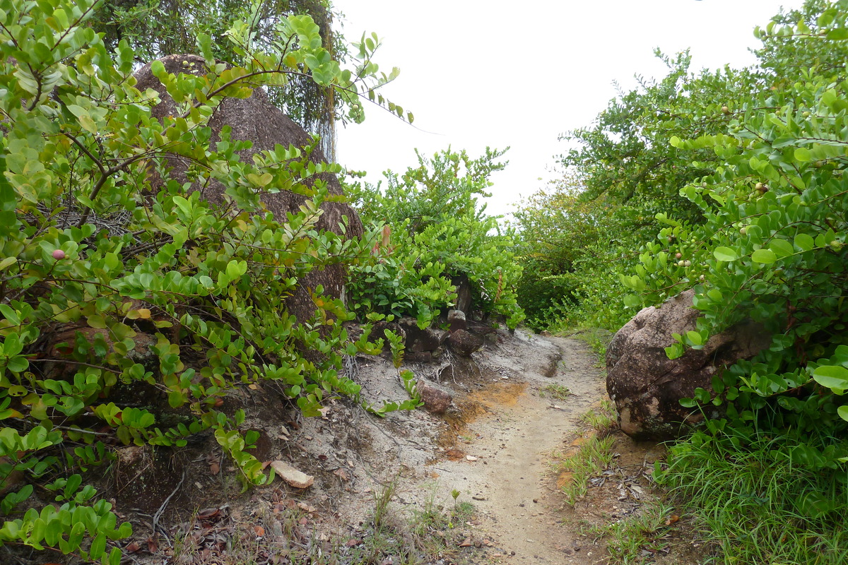 照片 塞舌尔(Seychelles) 拉齐奥湾(Anse Lazio) 2011-10 33