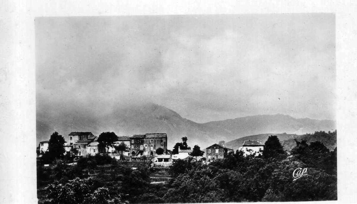 照片 法国(France) 科西嘉岛(Corsica) 老明信片(Old Postcards) 1900-01 230