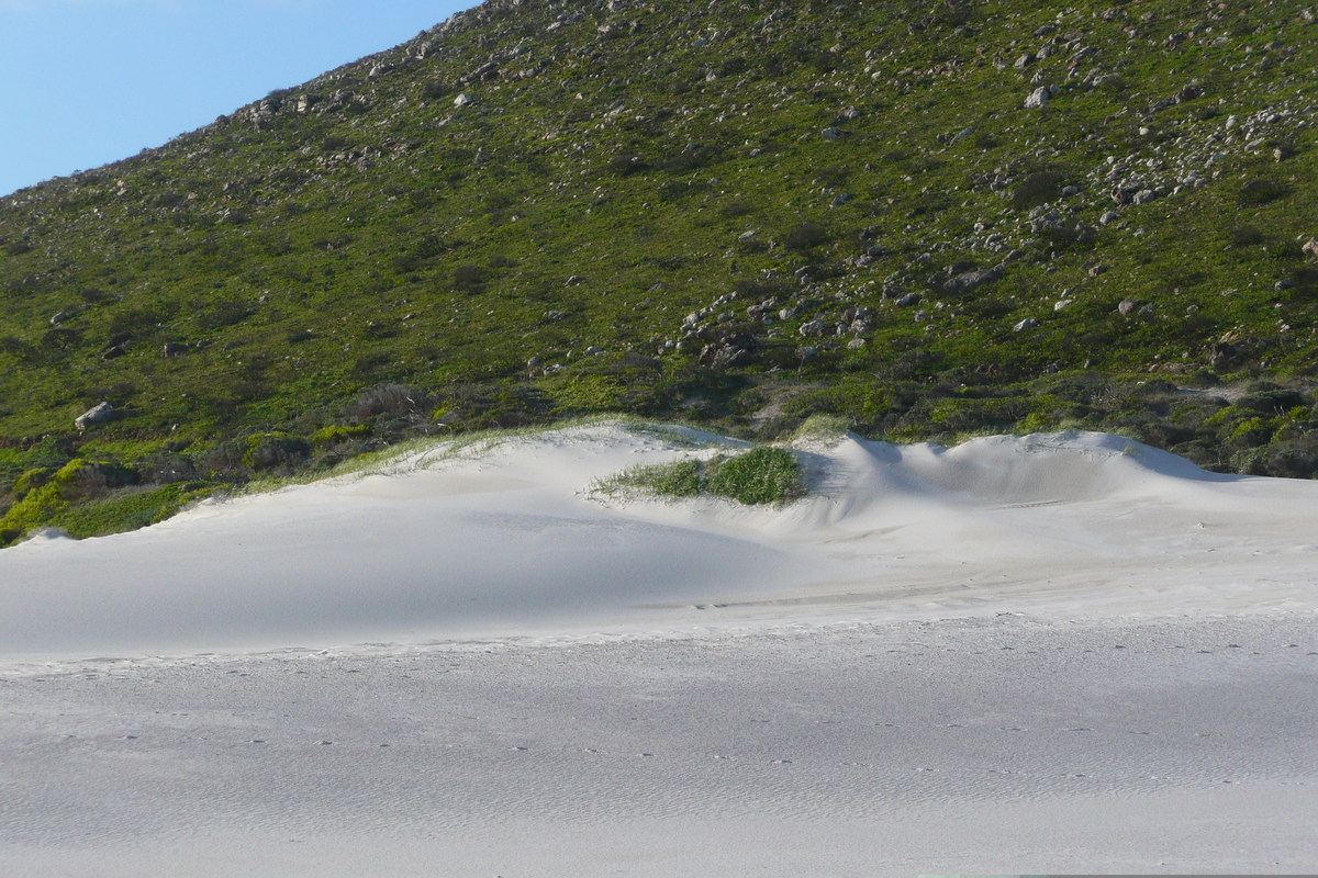 照片 南非(South Africa) 好望角(Cape of Good Hope) 2008-09 17
