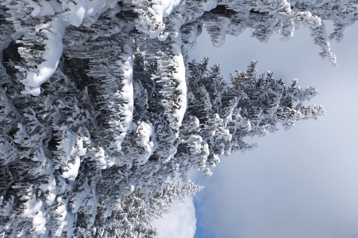 照片 法国(France) 三峡谷滑雪场(Les 3 Vallees) 2013-03 99
