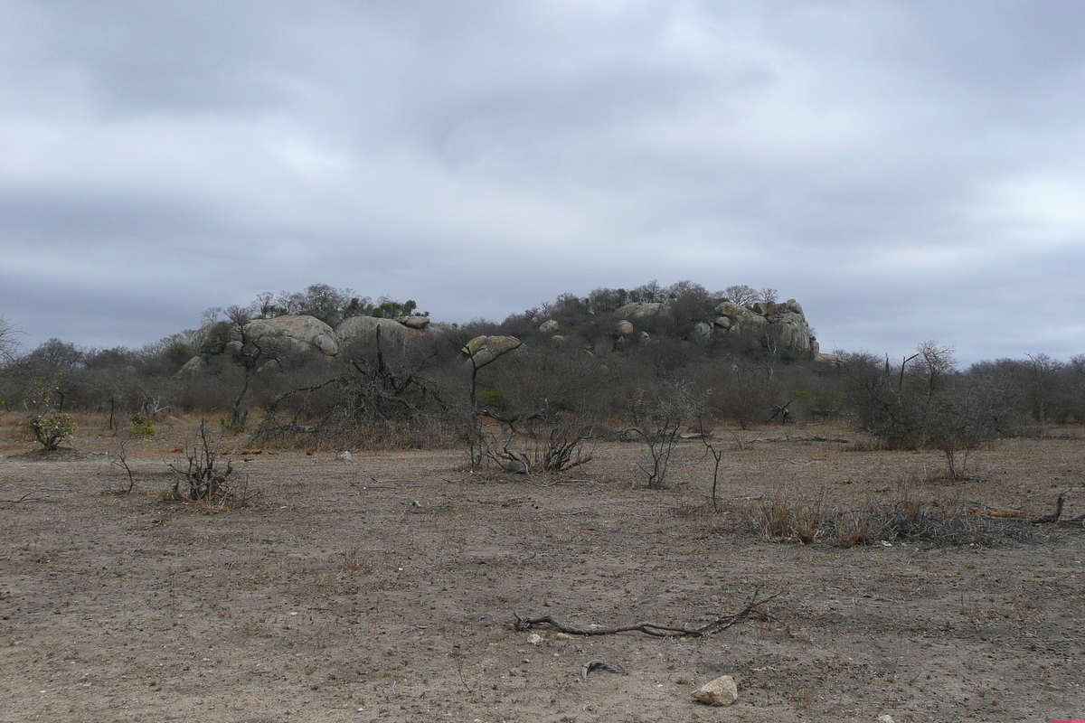 照片 南非(South Africa) 克鲁格国家公园(Kruger National Park) 2008-09 2