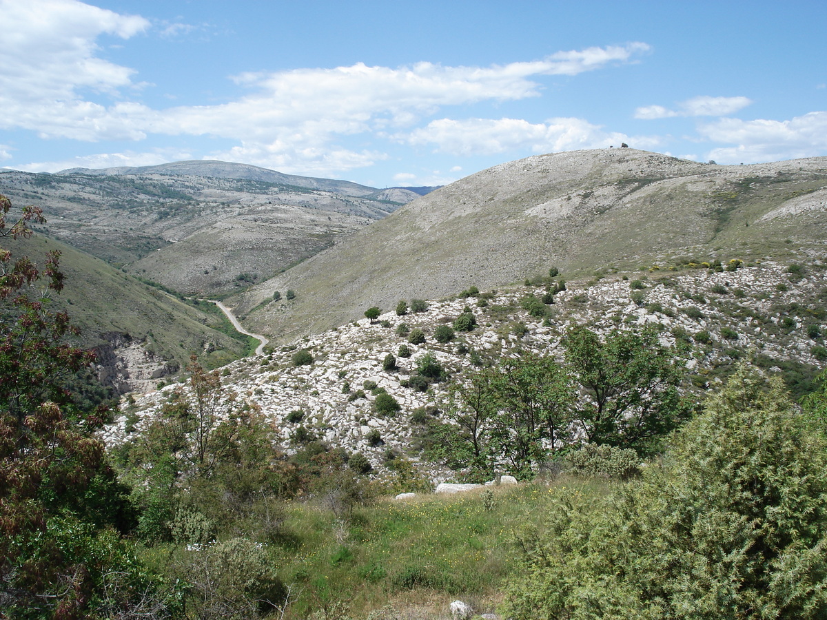 照片 法国(France) 旺斯(Vence) 巴乌山(Baou) 2006-06 27