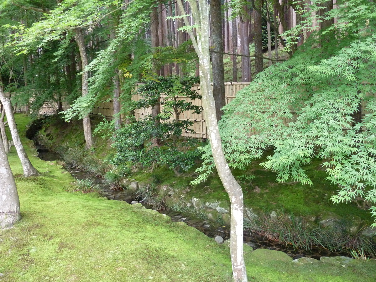照片 日本(Japan) 京都(Kyoto) 银阁寺(Ginkakuji Temple(Silver Pavilion)) 2010-06 3