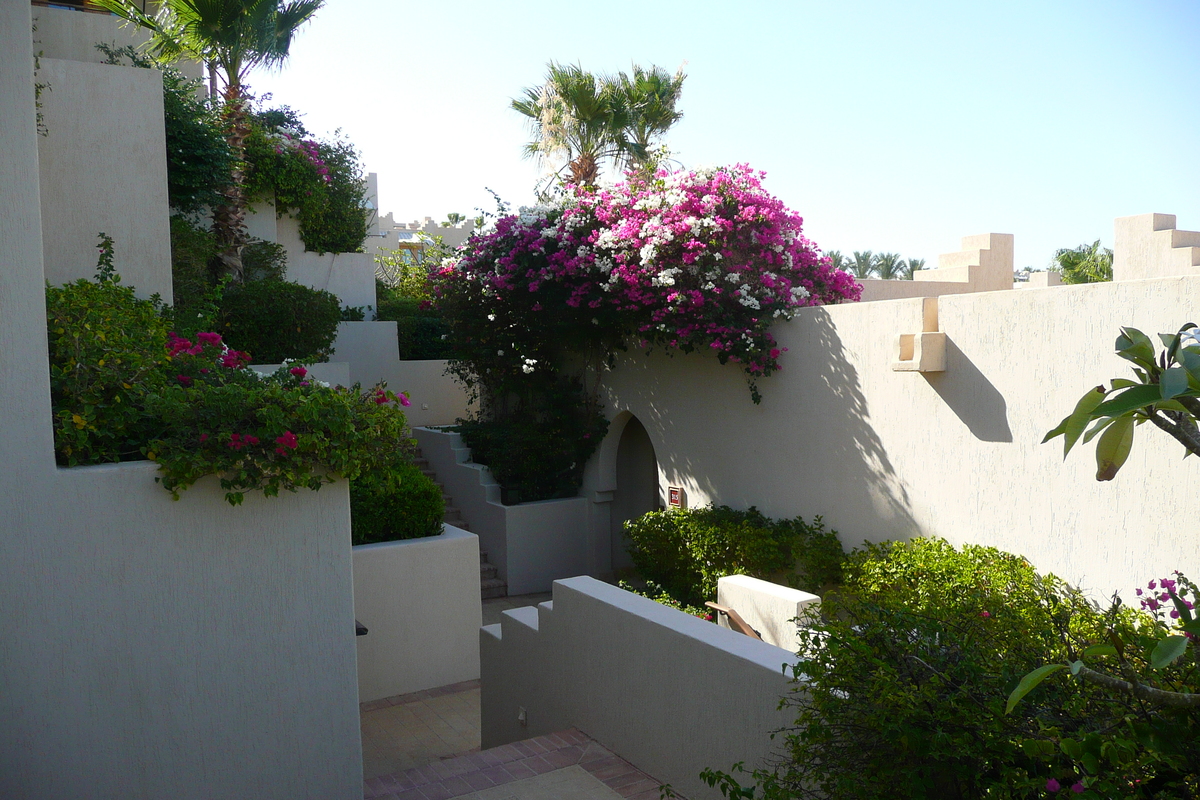 照片 埃及(Egypt) 沙姆沙伊赫(Sharm el Sheikh) 四季酒店(Four Seasons Hotel) 2008-06 8