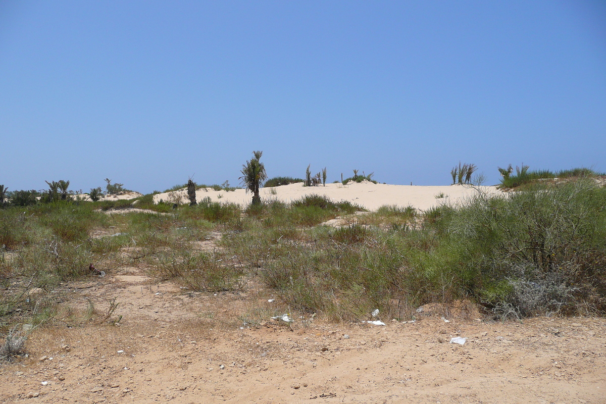 照片 以色列(Israel) 尼灿(Nitzan) 2007-06 77