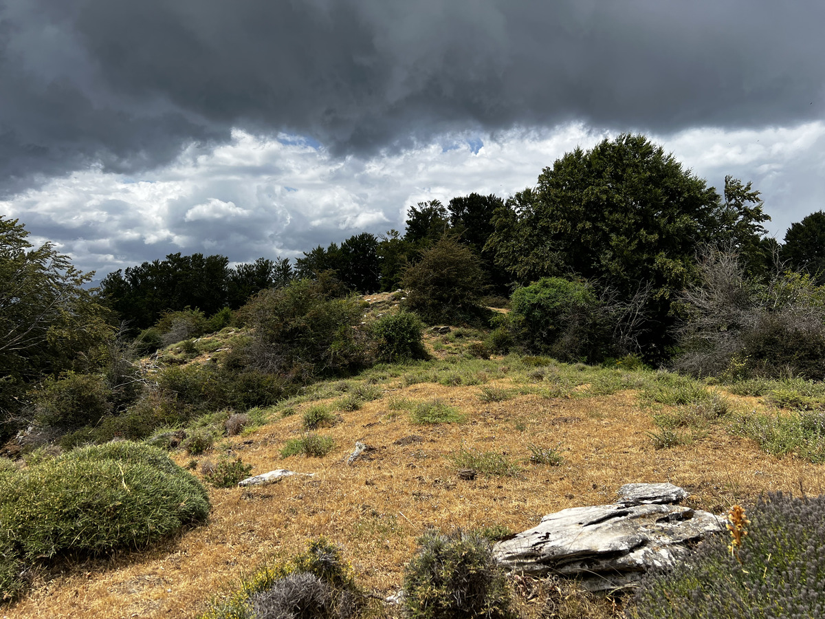 照片 法国(France) 科西嘉岛(Corsica) 卡莱鲁丘山屋(Refuge de Callerucciu) 2022-06 36