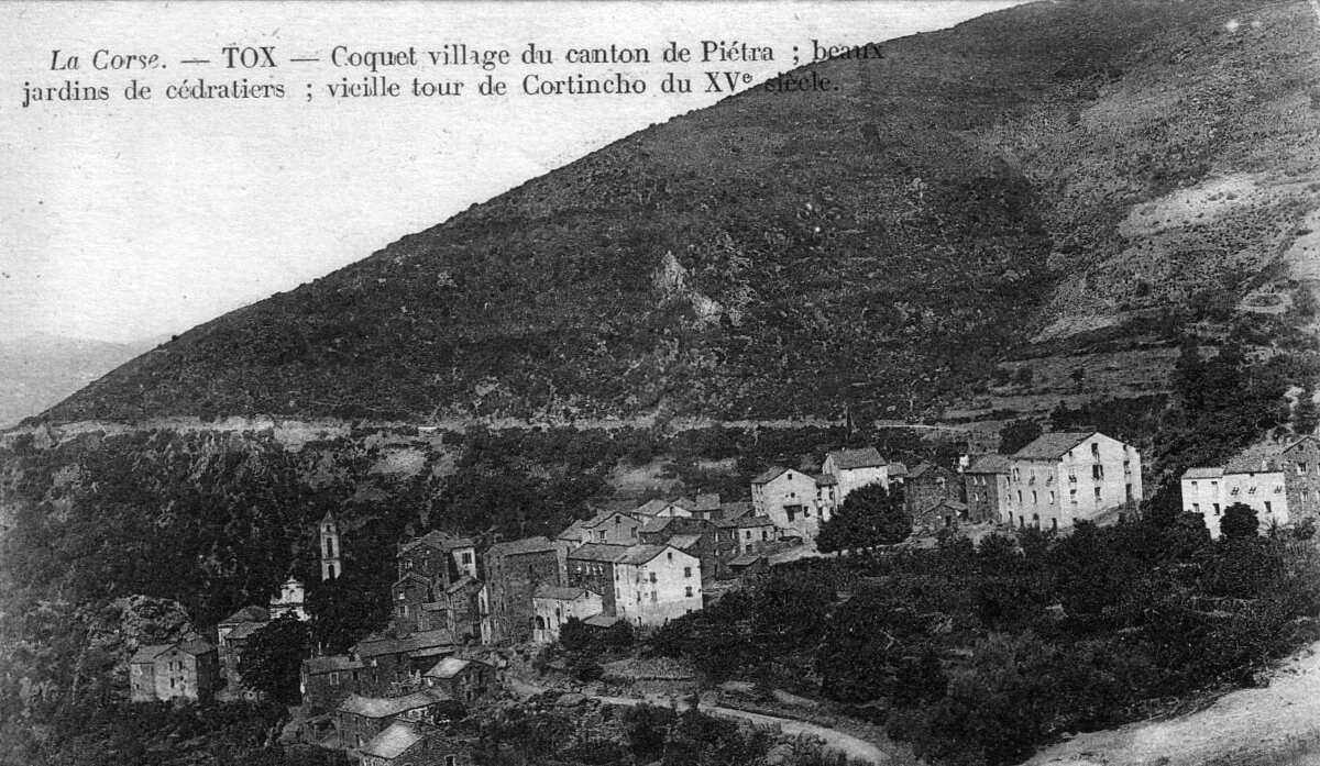 照片 法国(France) 科西嘉岛(Corsica) 老明信片(Old Postcards) 1900-01 75