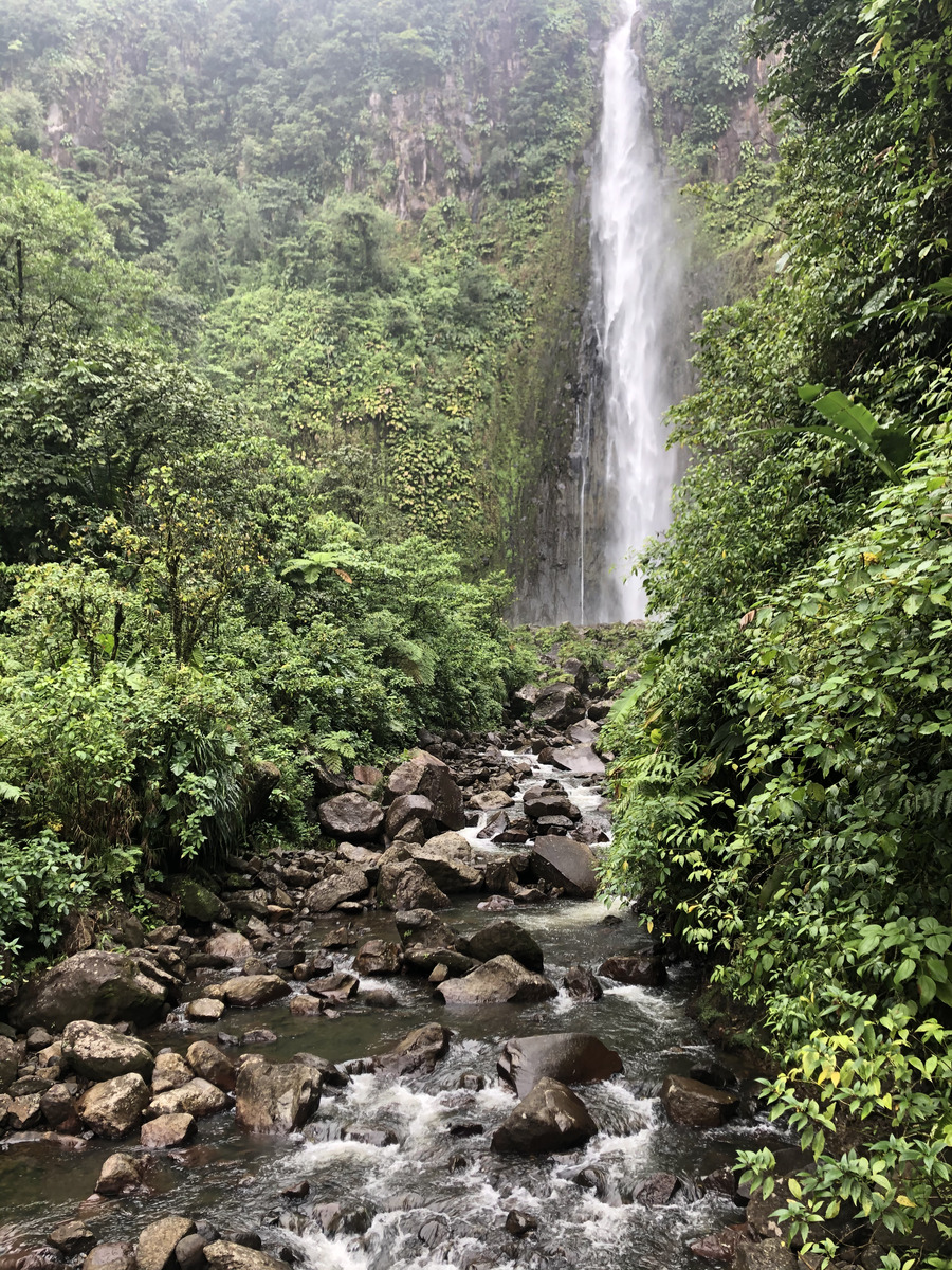 照片 瓜德罗普(Guadeloupe) 卡尔贝瀑布(Carbet Falls) 2021-02 39