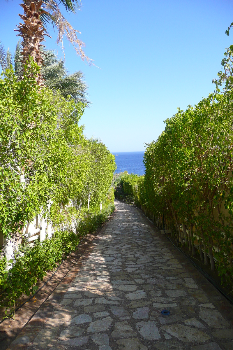 照片 埃及(Egypt) 沙姆沙伊赫(Sharm el Sheikh) 四季酒店(Four Seasons Hotel) 2008-06 118