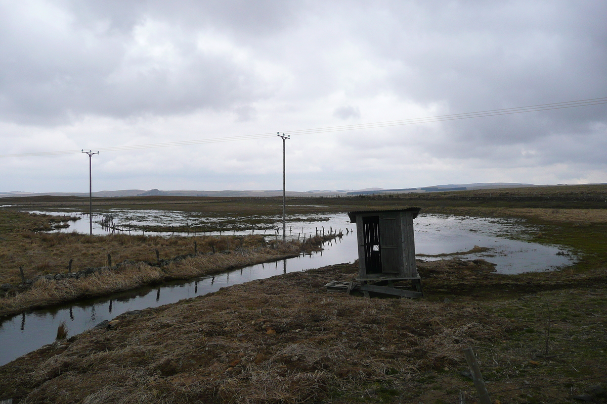 照片 法国(France) 奥布拉克(L'Aubrac) 2008-04 125