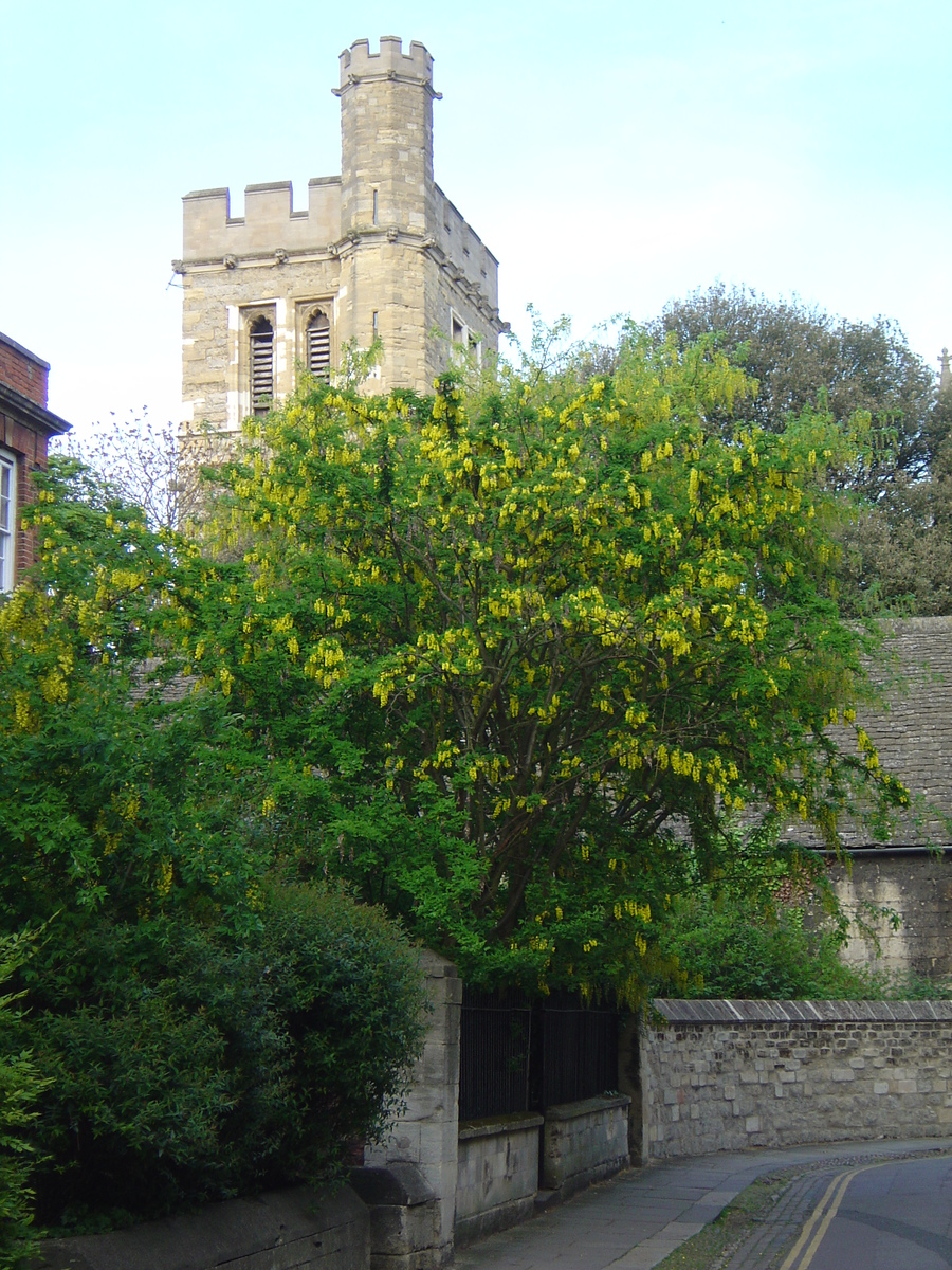 照片 英国(United Kingdom) 牛津(Oxford) 2005-05 10