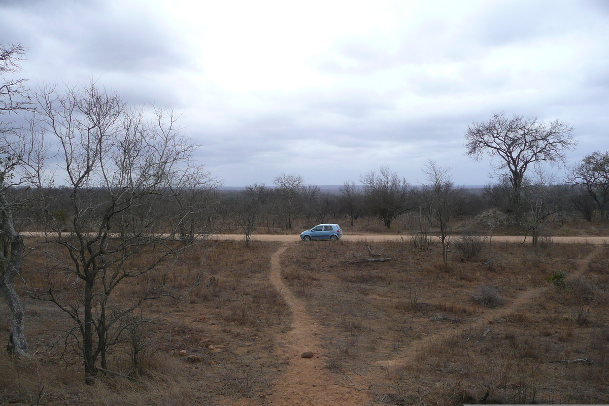 照片 南非(South Africa) 克鲁格国家公园(Kruger National Park) 2008-09 92