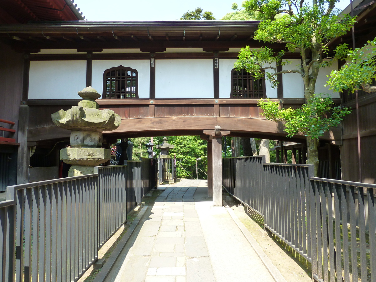 照片 日本(Japan) 东京(Tokyo) 上野(Ueno) 2010-06 63
