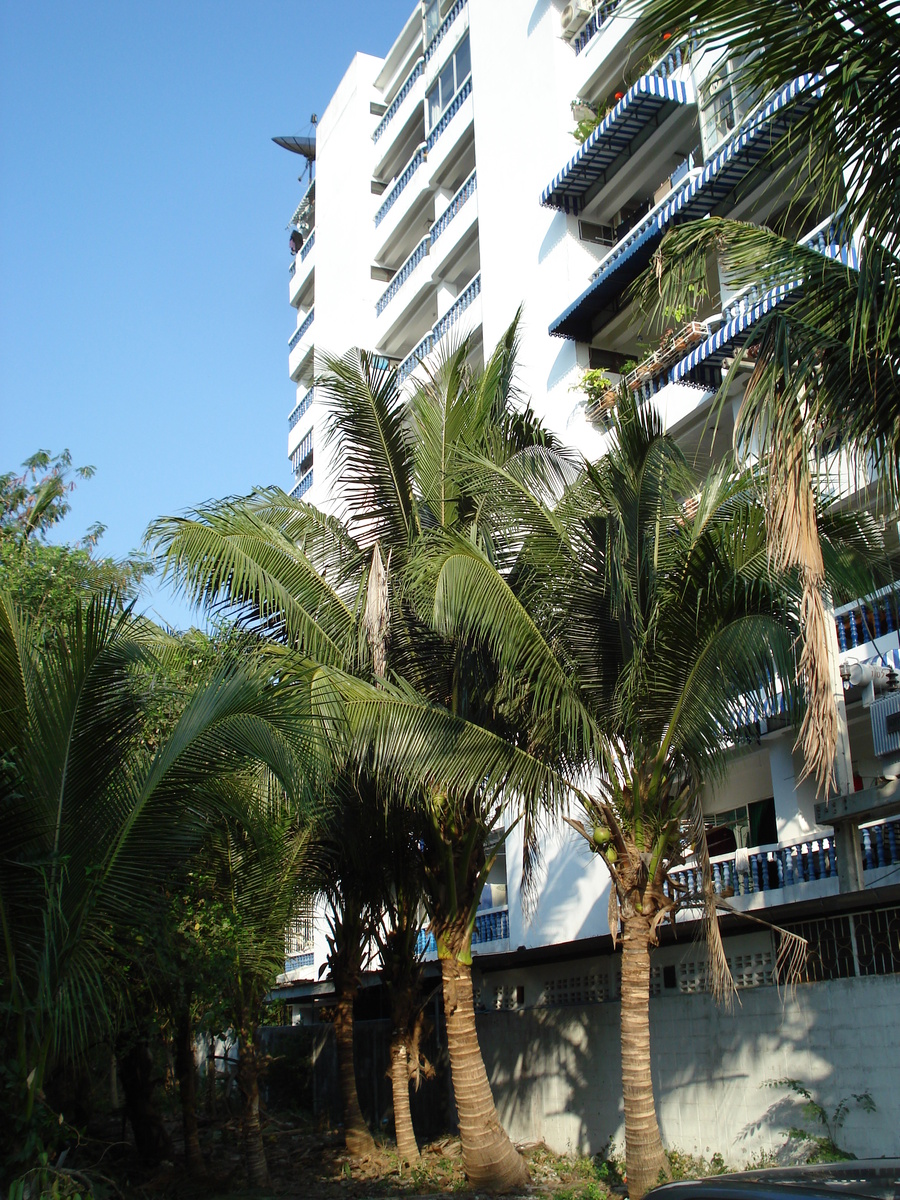 照片 泰国(Thailand) 芭提雅(Pattaya) 金角(Golden Horn) 2007-02 38