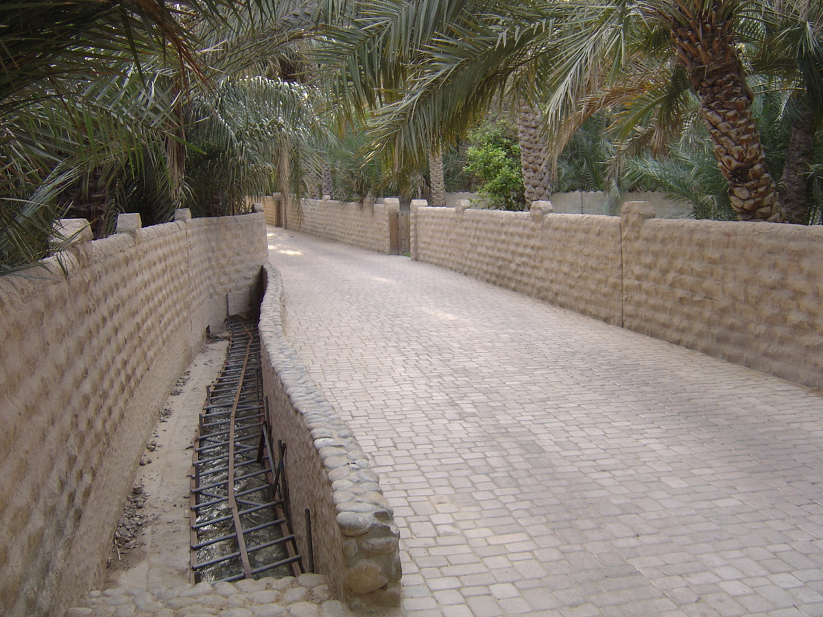 照片 阿联酋(United Arab Emirates) 艾因(Al Ain) 艾因绿洲(Al Ain Oasis) 2005-03 38