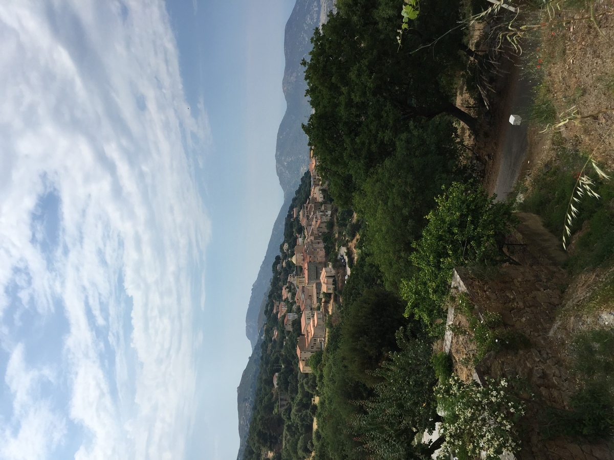 照片 法国(France) 科西嘉岛(Corsica) 阿雷尼奥(Aregno) 2015-05 23