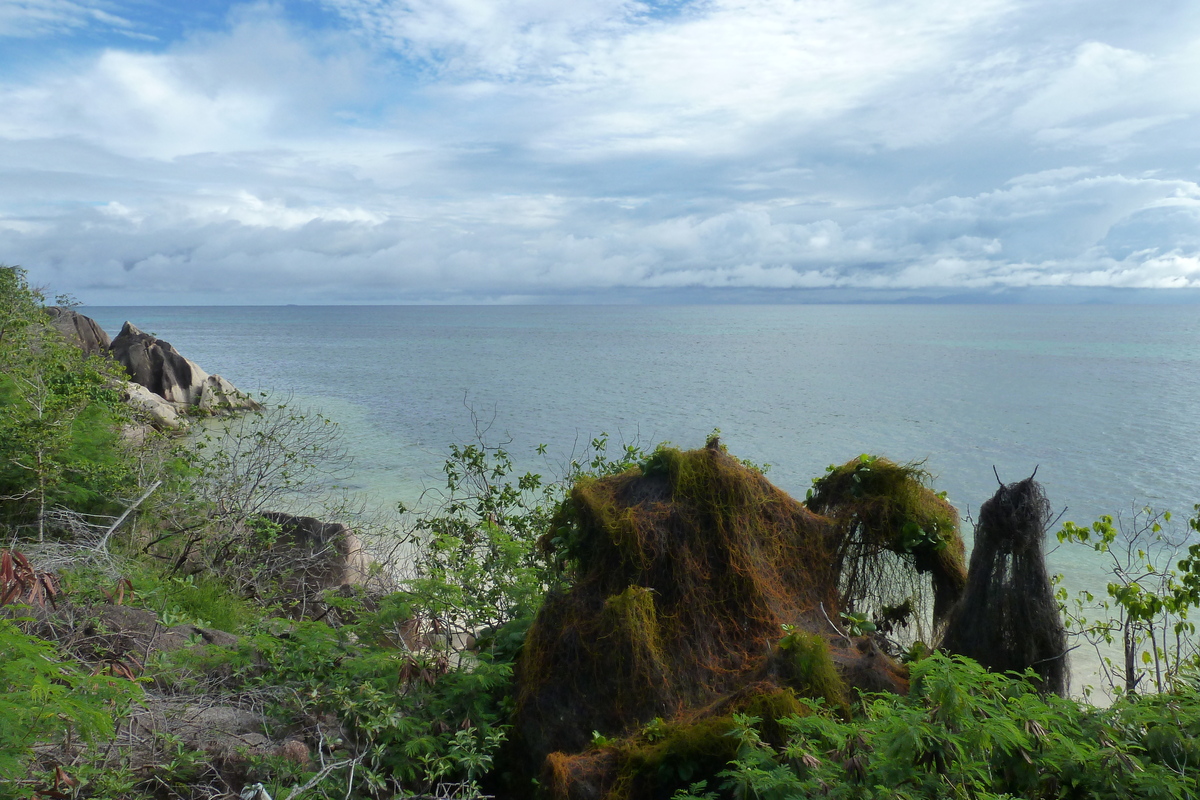 照片 塞舌尔(Seychelles) 普拉兰岛(Praslin) 2011-10 38