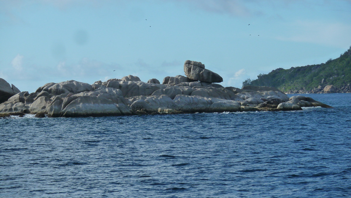 照片 塞舌尔(Seychelles) 椰子岛(Coco Island) 2011-10 66