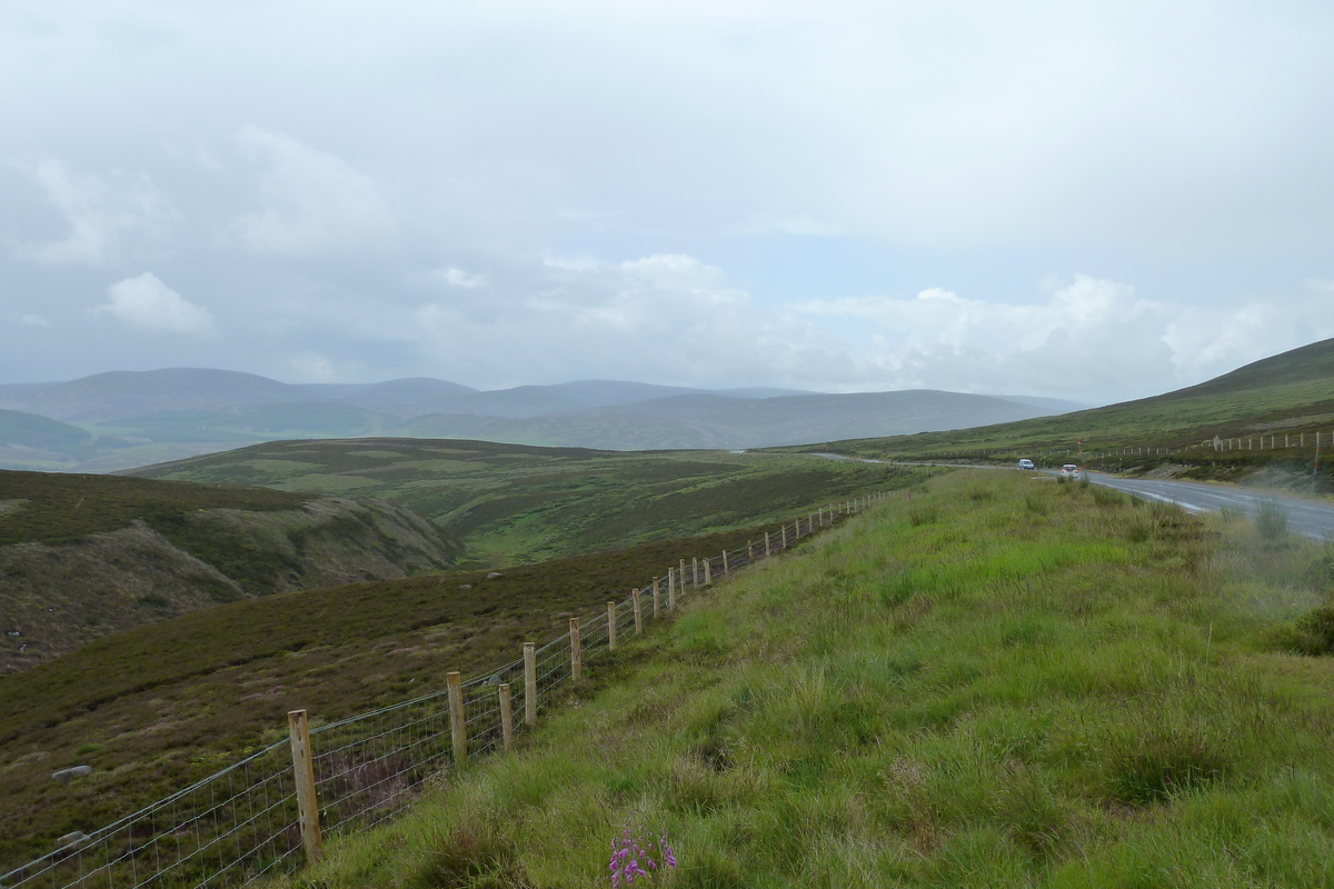 照片 英国(United Kingdom) 凯恩戈姆山国家公园(Cairngorms National Park) 2011-07 137