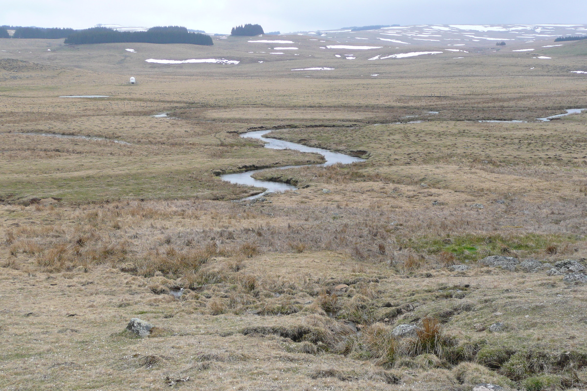 照片 法国(France) 奥布拉克(L'Aubrac) 2008-04 11