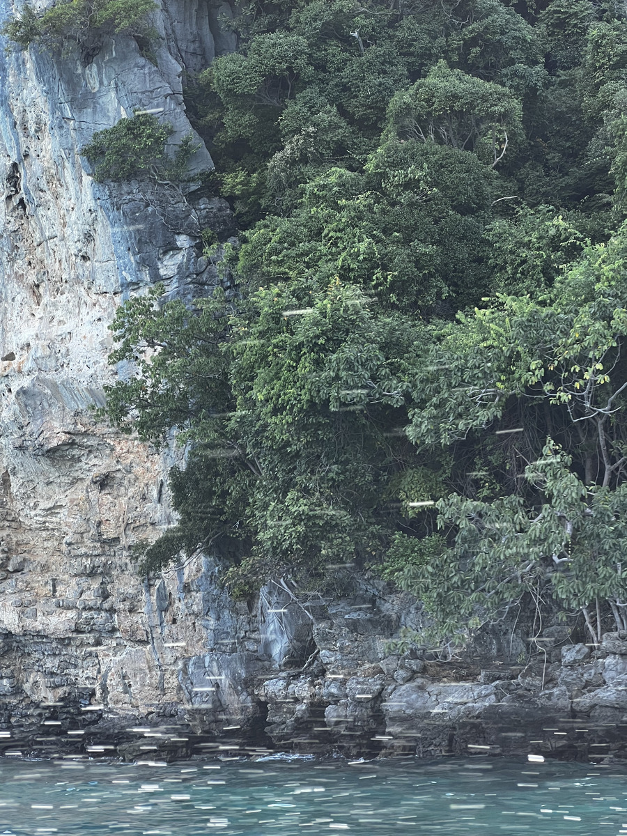 照片 泰国(Thailand) 小皮皮岛(Ko Phi Phi Ley) 2021-12 101