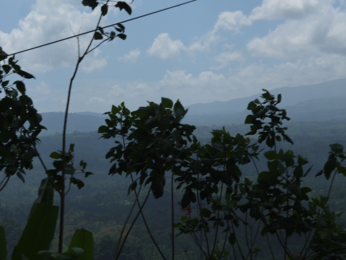 照片 哥斯达黎加(Costa Rica) 图里亚尔瓦(Turrialba) 2015-03 0
