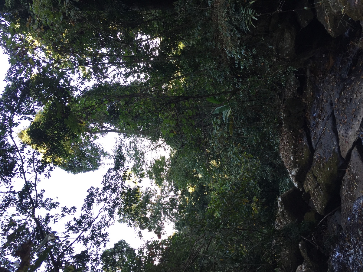 照片 泰国(Thailand) 普欣隆卡国家公园(Phu Hin Rong Kla National Park) 2014-12 380