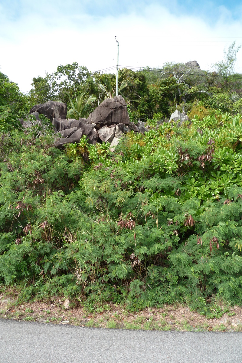 照片 塞舌尔(Seychelles) 普拉兰岛(Praslin) 2011-10 13