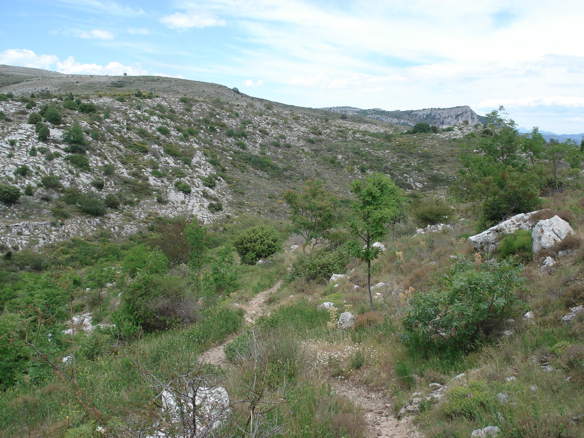 照片 法国(France) 旺斯(Vence) 巴乌山(Baou) 2006-06 29