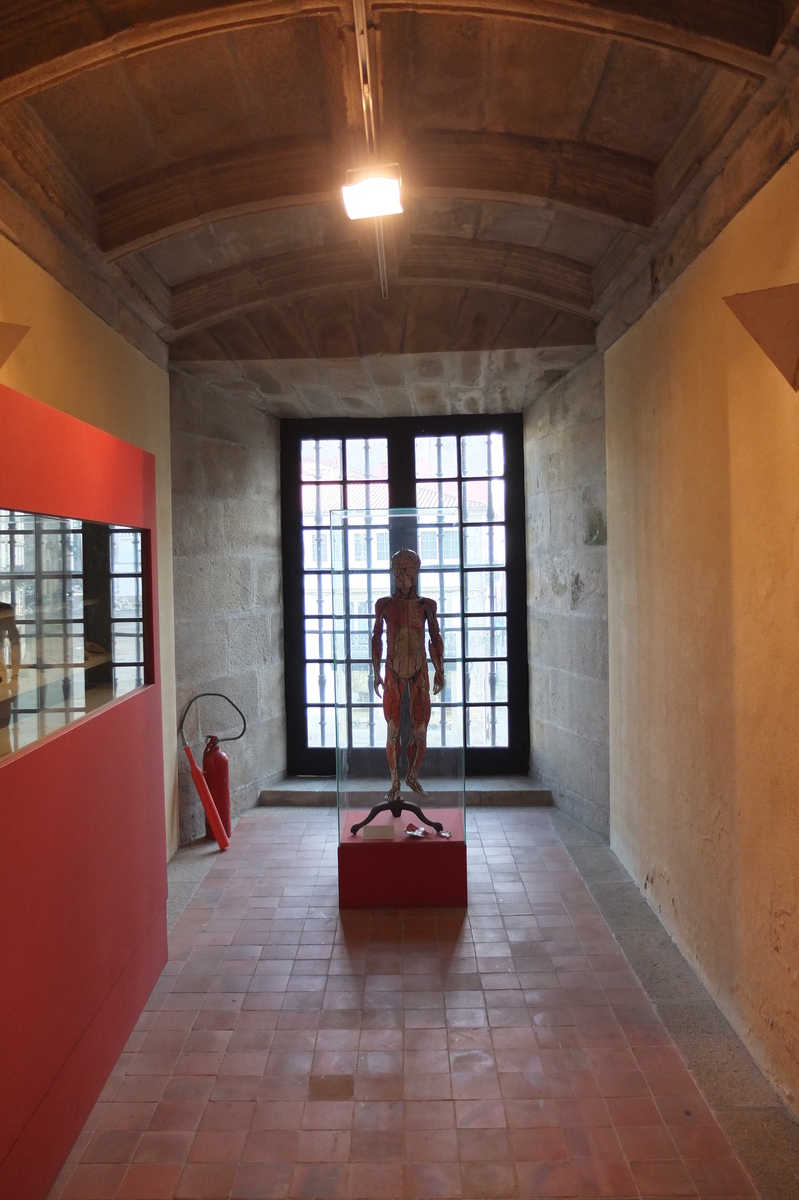 照片 西班牙(Spain) 圣地亚哥-德孔波斯特拉(Santiago de Compostela) 2013-01 2