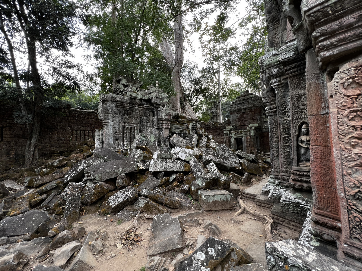 照片 柬埔寨(Cambodia) 暹粒(Siem Reap) 塔布茏寺(Ta Prohm) 2023-01 110