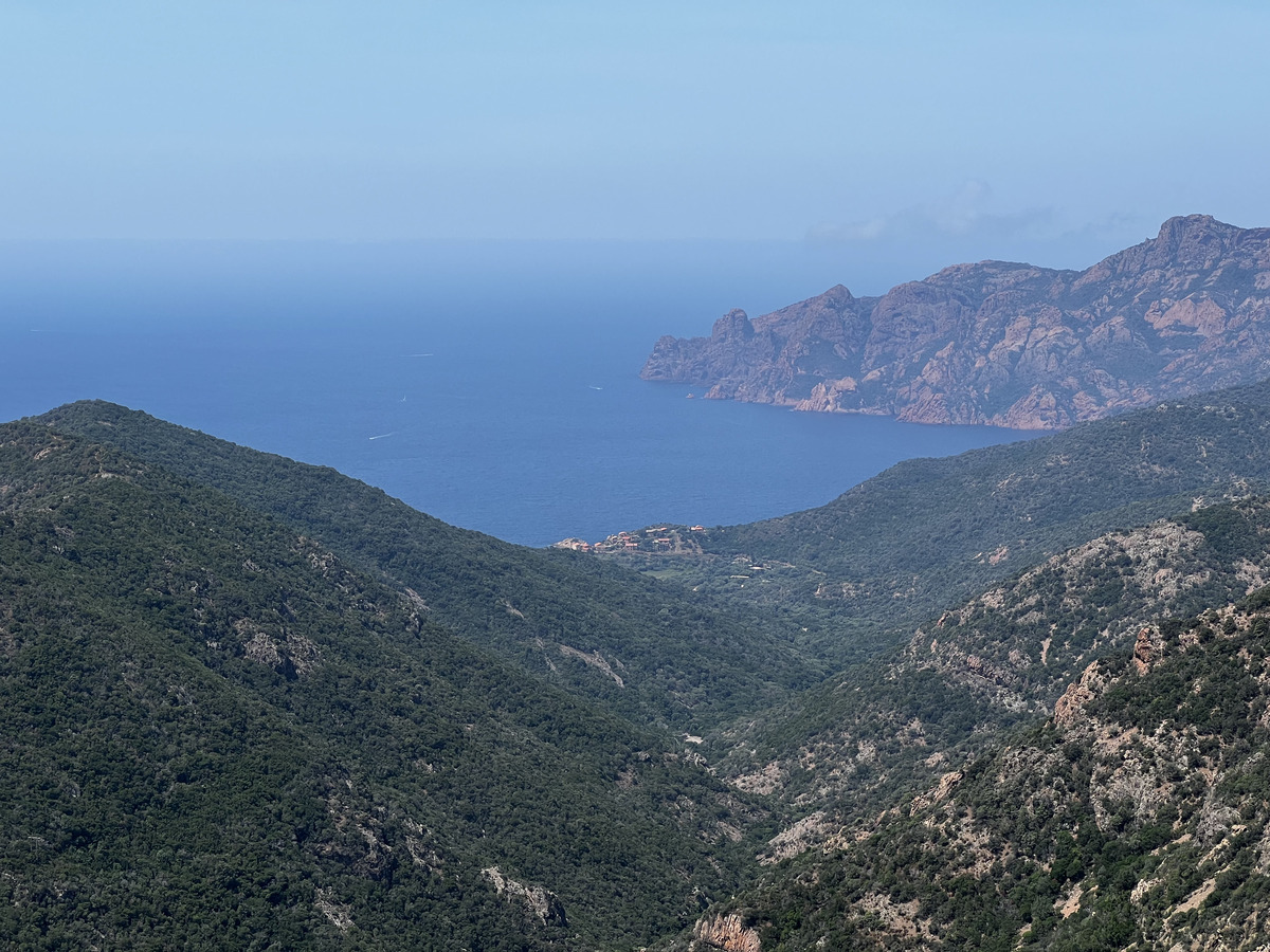 照片 法国(France) 科西嘉岛(Corsica) 奥萨尼(Osani) 2023-06 2