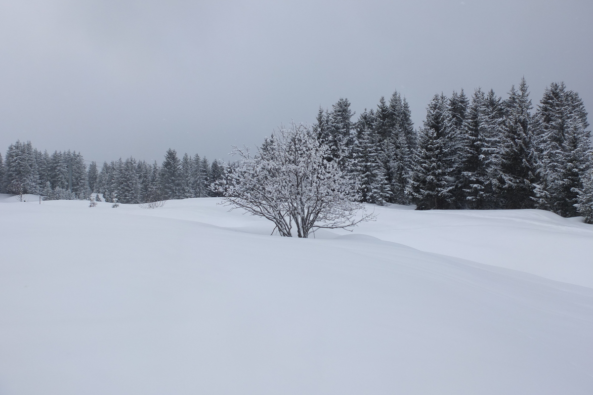 照片 法国(France) 三峡谷滑雪场(Les 3 Vallees) 2013-03 114