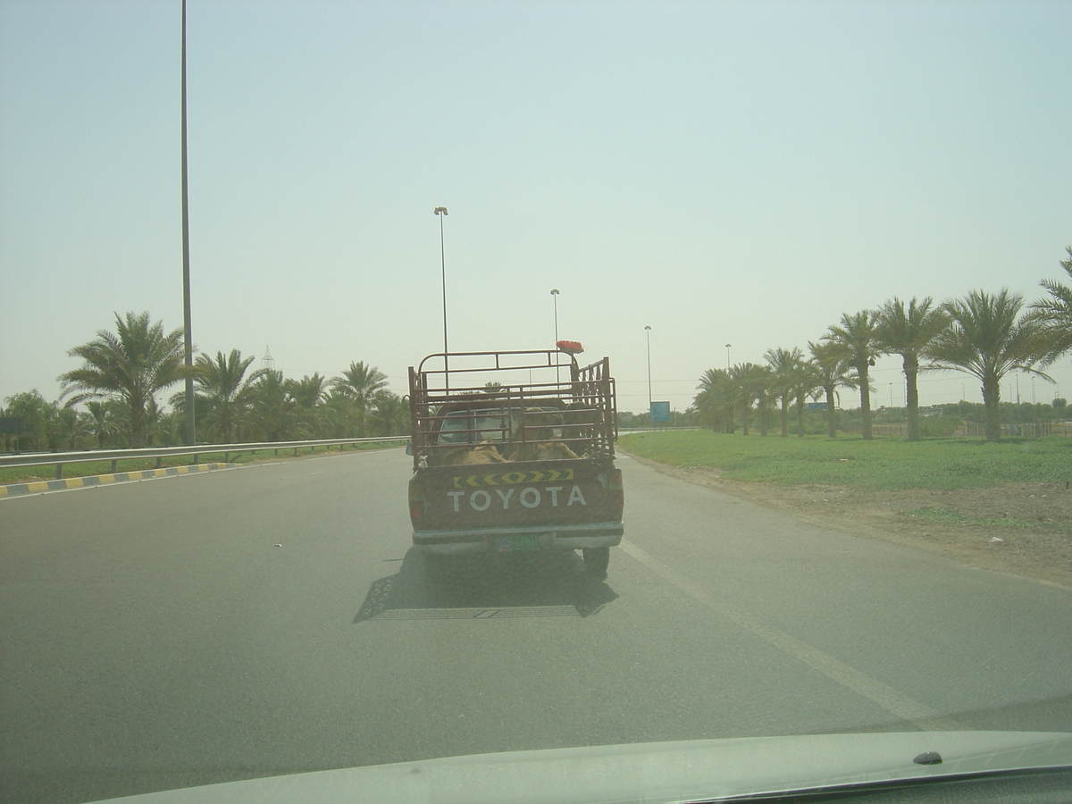 照片 阿联酋(United Arab Emirates) 艾因至阿布扎比公路(Al Ain to Abu Dhabi Road) 2005-09 3