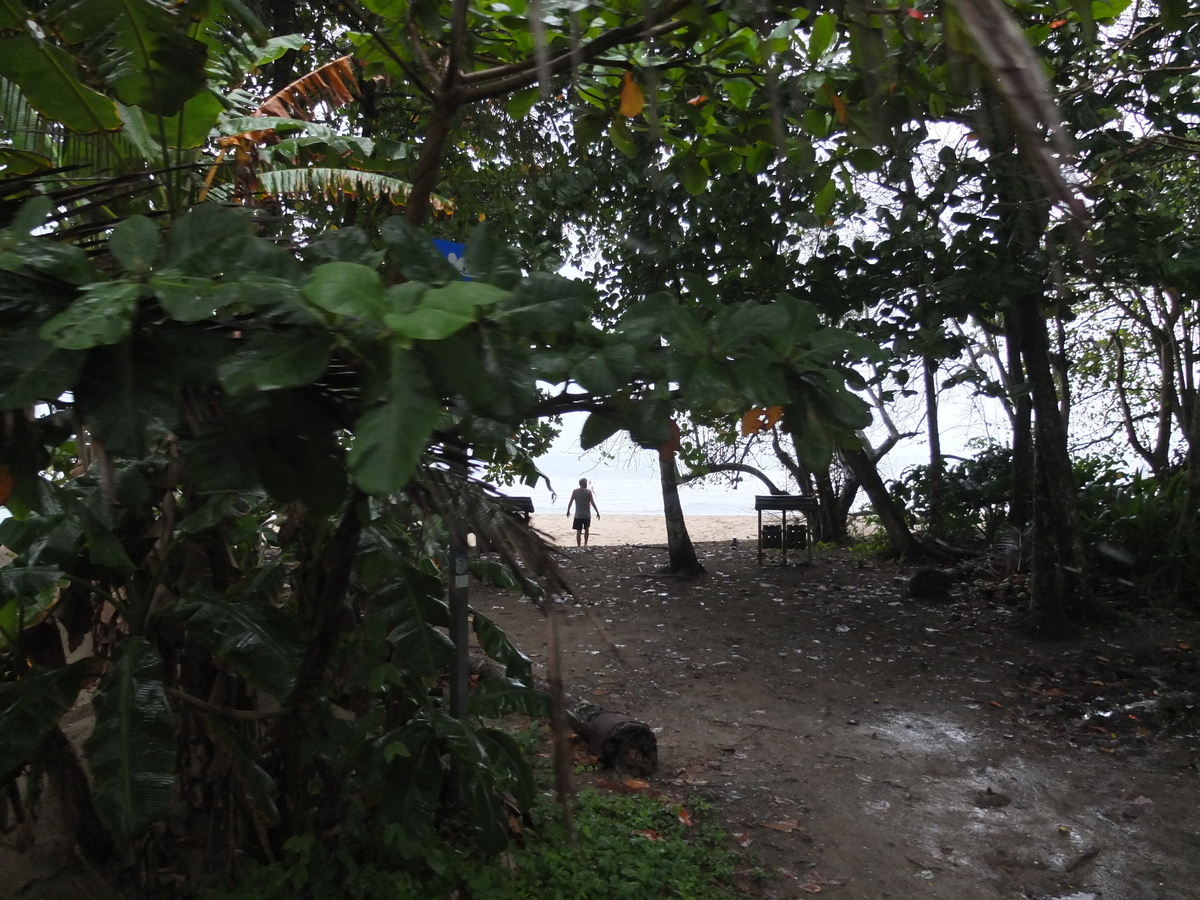照片 哥斯达黎加(Costa Rica) 塔拉曼卡旧港(Puerto Viejo de Talamanca) 2015-03 119